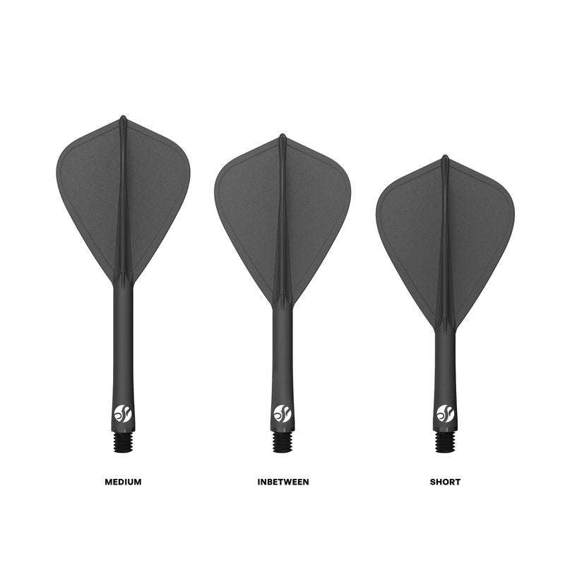 Flight Deck Kite Shape