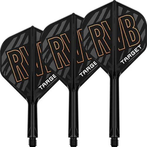 Target Raymond van Barneveld K-Flex No.2