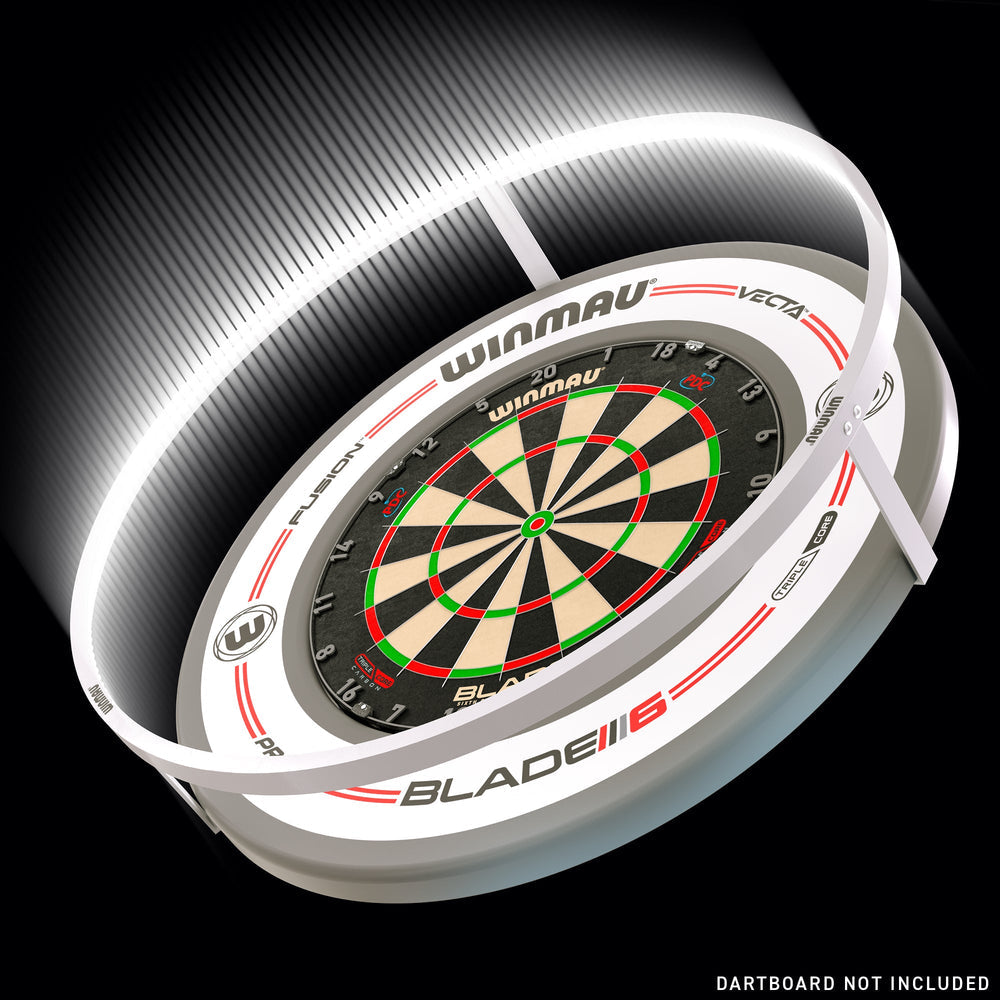 Plasma Ice Dartboard Light & Grey/White Pro-Line Surround Set