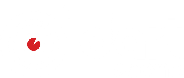 Dart Scene Ltd