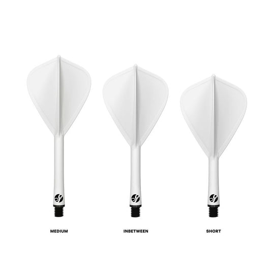 Flight Deck Kite Shape