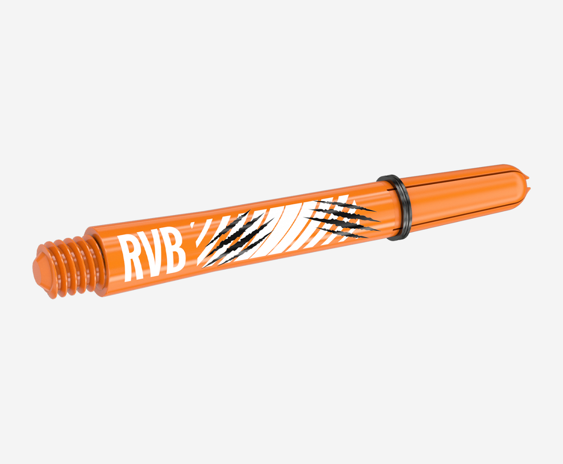 Raymond van Barneveld Ink Bundle