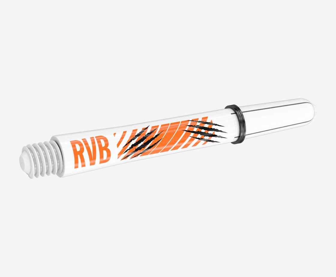 Raymond van Barneveld Ink Bundle